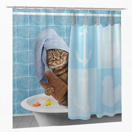 V[J[e h hJr 􂦂 ډB  jbgoX CJ[e oXpi C  Aj} 180CMx180CM(1g) L