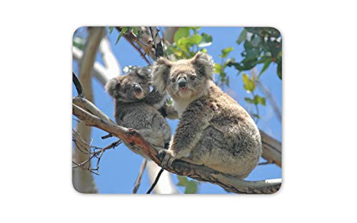 Madre y del bebé del oso de koala tapete de ratones Cojín - Regalo ordenador mamá linda animal # 15832