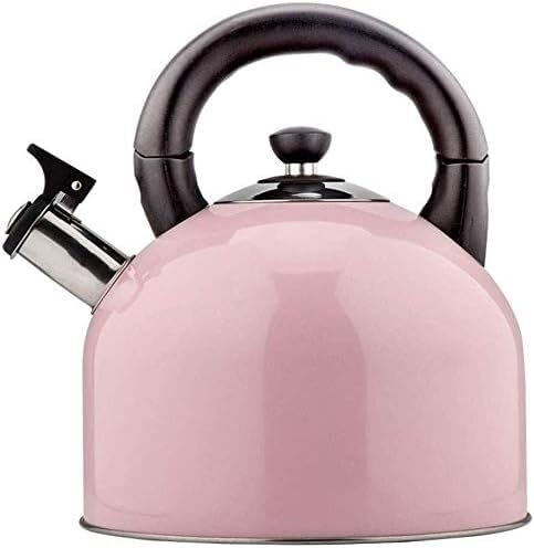 Bouilloire à sifflet inox 304 grande capacité pour ne plus rater l'ébullition