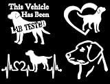 Labrador Retriever Decal 4 Pack: This Vehicle Has Been Lab Tested, Lab Heart, Lab Heartbeat, Lab Head Decals (Small ~3.5', White)