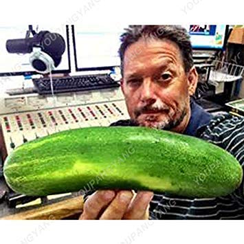 200Pcs / Pack Rare Semi di Cetriolo Gigante No OGM Deliziosi Cetriolo di Frutta e Semi di Verdure per Il Giardino Domestico di Semina di Piante di Cetriolo Semi