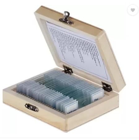 E-Medi 20 Prepared Slides Box For Microscope (B0CJV4GNJ3) Amazon Price History, Amazon Price Tracker