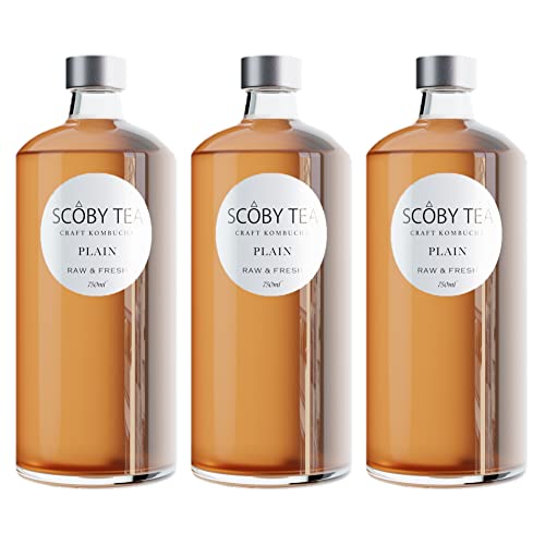 y3{ZbgzY Ru` t[o[Fv[ 750ml M h u[ɂnhCh bSCOBY TEA