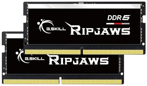 DDR5 SO-DIMM 4800 MT/s 32GB 2枚セット Amazon.co.jp: G.SKILL Ripjaws DDR5 SO-DIMM シリーズ DDR5 RAM