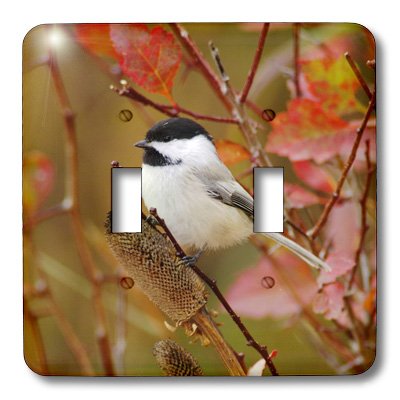 Interrupteur double oiseau pour remplacer vos plaques murales ternes - 3