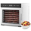 OLIXIS Food Dehydrator Machine, 500W Jerky Dehydrators with 8 Stainless Steel Large Trays, 185°F Temperature Control & 24H Timer Food Dryer for Fruit Meat Herb Dog Treats, Silver