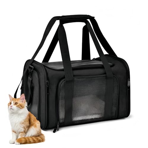 JEJIET ybgL[ obO Lp p  ^p ܂ 4way y 3ʒʋC 􂦂 L L[pL[obN яoh~[ht xgE 􂦂}bg e o ԍ s ʉ@ dԈړ ω׏d8KG 