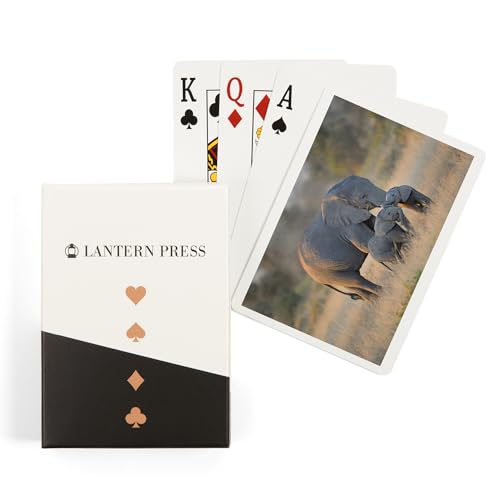 Baraja de Póker 52 Cartas Lantern Press