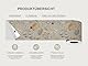 AG Design Selbstklebende Bordüre Blumen Ornamente, AWB 8432 | Wasserfest Dekoration für Wände, Möbel, Tapeten, Wandverkleidungen und Türen, Folie, Mehrfarbig | Breite 500 cm x Höhe 13.8 cm