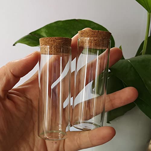 Fioles en verre de 40 ml pour conserver vos échantillons de laboratoire et épices - 4