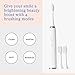 Vanity Planet Elements Ultrasonic Electric Toothbrush - Charcoal - Advanced Oral Care with UV Sanitizing Charger Base with 3 Replacement Heads - 99.9% Effective Keeping Your Teeth Clean (Charcoal)