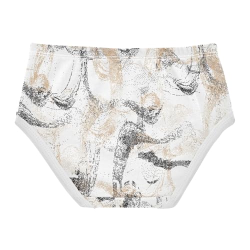 Briefs Underwear for Daily Wear Organic Cotton Toddler Underwear for Toddlers in Sizes 2T,3T, 4T, 5T, 6Y and 8Y2