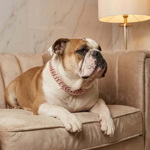 Image of Dog Chain Diamond Collar Walking Metal Chain Collar with Design Secure Buckle, Pet Collar Jewelry Accessories for Small Medium Large Dogs Cats (Rose Gold, 22 Inch)