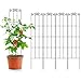 ARIFARO Metall-Gartenspalier für Kletterpflanzen 147cm (4er-Pack) Stabiles Pflanzenspalier für Topfpflanzen, Zimmerpflanzen, Kletterreben, Innen und Außen, Schwarz, Metal Garden Trellis