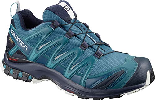 Salomon XA Pro 3D GTX, Zapatillas Hombre, Lyons Blue Navy Blazer Lunar Rock, 42 2/3 EU