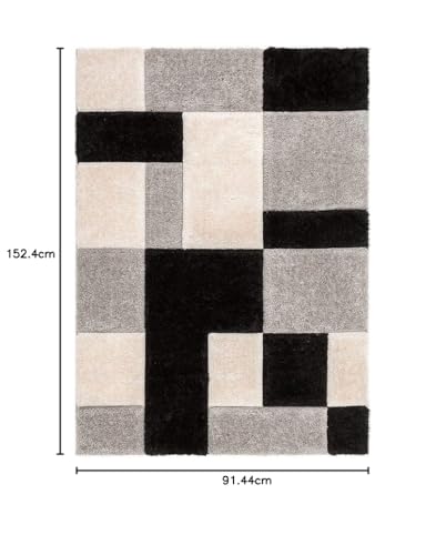 Image of Shaggy Carpet for Living Room 3 X 5 FEET Fluffy Plush Area Rug, Thick Fur Floor Carpet Modern Cozy Rug for Home Decor, Kids Room Bedside Hall, Durable Comfortable Shaggy Rug (Black)