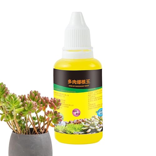 多肉植物用肥料 | 50ml 室内植物用サボテンフード | 天然・有機肥料 | サボテン、ヒスイ、アロエ、室内植物用液体肥料、室内・屋外植物用サボテンフード