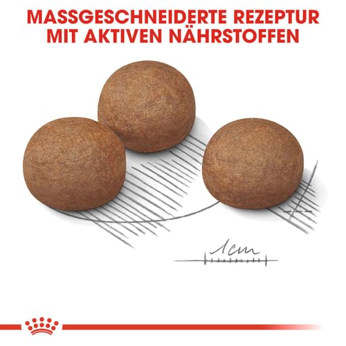 ROYAL CANIN Digestive Care Maxi Trockennahrung für Hunde – 12 kg