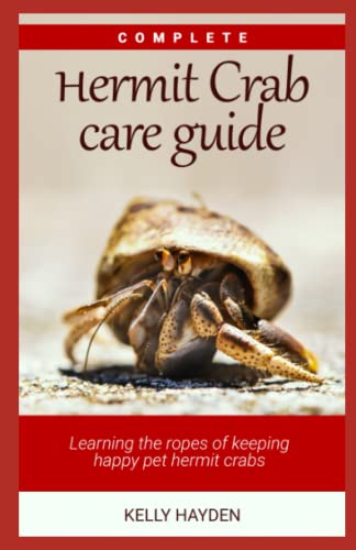 Complete Hermit Crab Care Guide: Learning the ropes of keeping happy pet hermit crabs