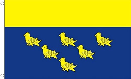 Flagtex West Sussex Large Flag 8ft x 5ft (240cm x 150cm)