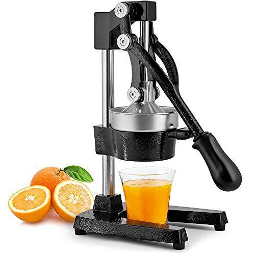 Los 5 Mejores Modelos De Extractor De Jugos Elektra