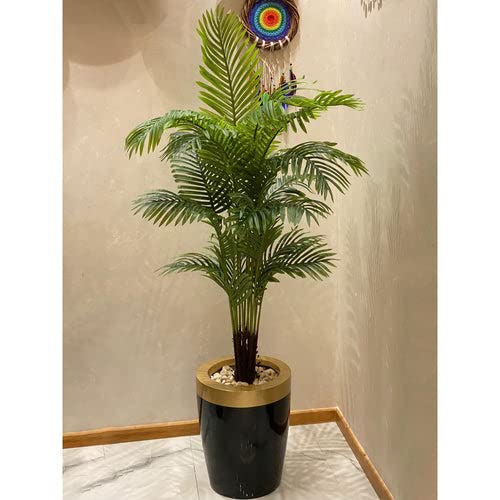 Cloud Farm Live Rare Areca Palm Indoor Air Purifying Low Maintenance Plant, Large Size (45cm to 50cm), CF_74 (B0BQVPNWPS) Amazon Price History, Amazon Price Tracker