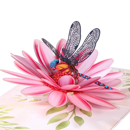Pop Up Mothers Day Card for Women, Dragonfly&Gerbera Daisies Flower 3D Birthday Card, Ideal Gift for Mothers Day, Birthday, Valentines, All Occasion for Her, Wife, Mom, Grandma, Sister, Daughter