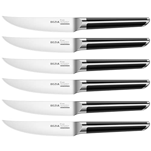 Top 10 Best Non Serrated Steak Knives Reviews & Buying Guide Katynel