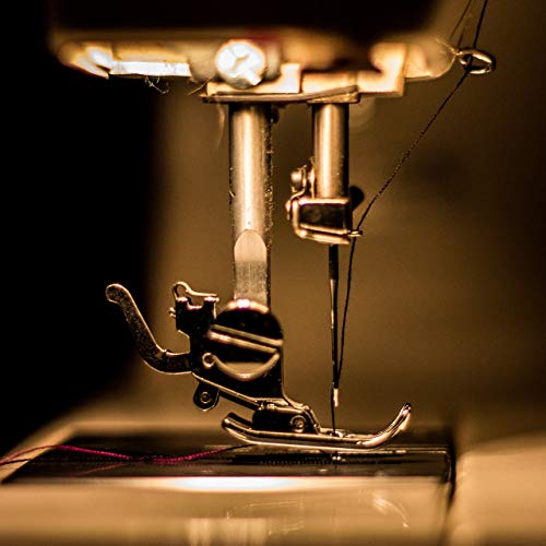 15W Incandescent Appliance And Himalayan Salt Lamp Light Bulb, T7, E17 Intermediate Base, Dimmable, 130V (2 Pack) #TOP3