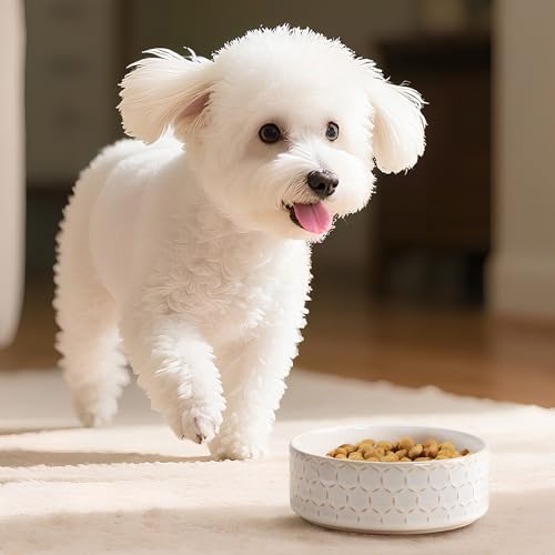 Image of MALACASA Ceramic Dog Food Bowl, Water Dish for Small Breeds, 2 Cups
