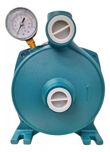 Bomba D'água Lepono Injetora 1cv C/Injetor Poço De Até 40m