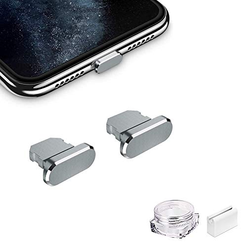 VIWIEU Metal Anti Dust Plug Compatible with iPhone 12 Mini/Pro Max/11/X/XS/XR/8/7/6 Plus iPad AirPods, 2 Aluminum Lightning Charging Port Cover Cap Protector with Plug Holder and Storage Box (Grey)