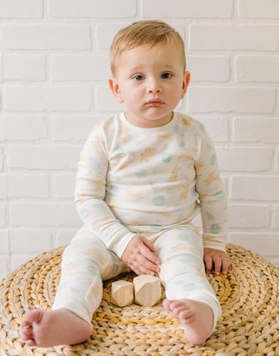 moimoln Soft Cotton Modal Baby Toddler Boys Girls Snug fit Pjs Daily Long Sleepwear Cuddle Bunny 3T