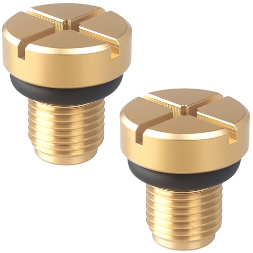 Amavoler Radiator Coolant Expansion Tank Bleeder Screw Fit for BMW X1 X3 E46 E92 E90 E36 E39 Mini Cooper. OEM#: 17111712788. (2 Pcs)