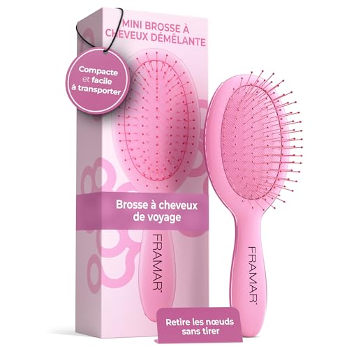 FRAMAR Mini Brosse Cheveux - Petite Brosse a Cheveux, Brosse Cheveux Voyage, Brosse Voyage, Compact Pour Les Voyages, Voyage Accessoires, Anti-casse - Rose