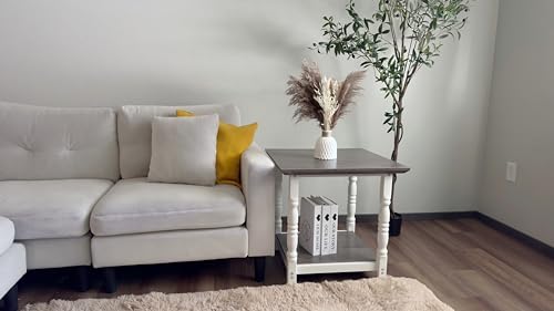 DWVO Farmhouse Square Coffee Table, Antique Accent Side Table with Floor Shelf, 23.6"x 23.6" Living Room Furniture, Vintage Ivory & White