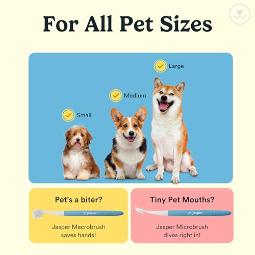 6. Jasper 360° Dog Toothbrush – Easy, Gentle Pet Dental Care