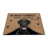 Ganshan Bi Personalized Door Mat with Funny Dog Labrador Welcome Floor Mat No Need to Knock I Know You're Here Gift for Dog Lover 23.6