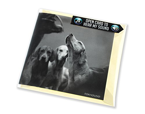 Carte de voeux musicale avec aboiement de chiens de chasse à l'ouverture