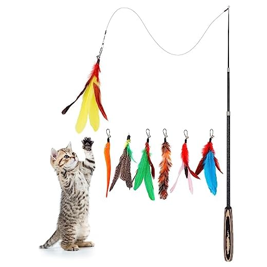 Kattenhengel: Waarom jouw kat er dol op is. 20x de Beste 9 Pawaboo Feather Teaser Cat Toy, 7PCS Extensible Interactive Feather Wand Cat Toy Flying Feather Cat Catcher with Extra Long 38.6" Wand and Small Bell, Fun Exerciser Playing Toy, Colorful Stripes