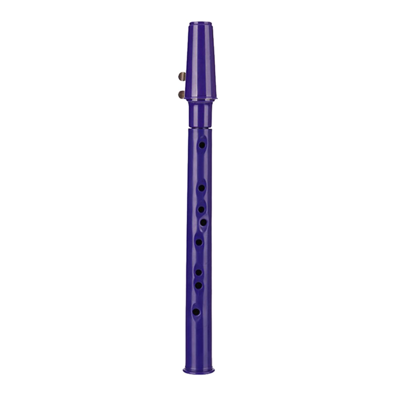 Mini Saxophone Portable avec Bec, Anches et étui de Transport pour Les Passionnés de Musique, violet