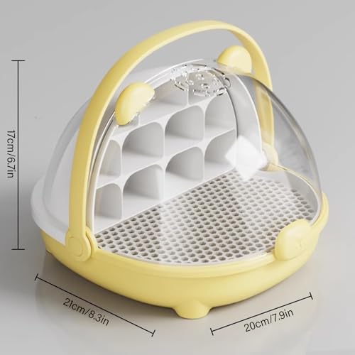 Cage d'élevage de vers à Soie spatiale pour l'observation des enfants