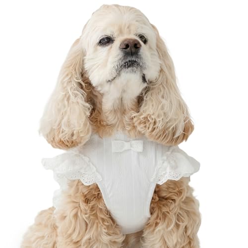 ybgp_CX  n[lX  t xXgn[lX   S S ̖h~ ^ yQl SM Č r[O (`13kg) ybgp_CXcX72XܓWJ2025/10/1_z