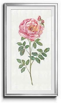 Framed Wall Art, Wall Decor Framed, Modern, Contemporary, Rustic, Romantic, Industrial, Ready to Hang - Single Stem I - Silver Frame 20X40