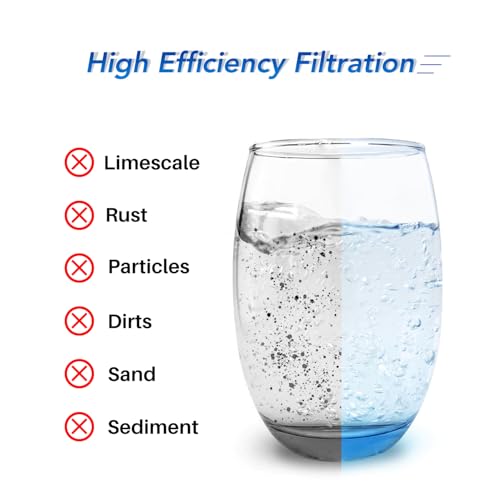 Image of ICEPURE 1 Micron 20 inch x 4.5 inch inch Carbon Filter Cartridge, Coconut Shell CTO Big Blue Filter, Whole House Carbon Block Replacement Cartridge with FC25B,CTO20BB, WHB20,EPM-20BB,155783-43,CB-BB-20 2 Pack