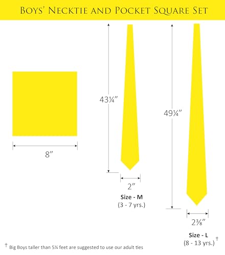 Image of Boy's Solid Tie with Pocket Square Set, Regular Necktie for Children and Kids, Self-Tied