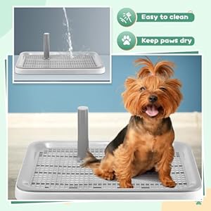 2 pack puppy pee pad holder easy clean dog potty tray with diversion column nonslip heighten dog litter box corner floor protection portable for small medium dog indoor white20x15x1 5 inch   cucciolini doodles