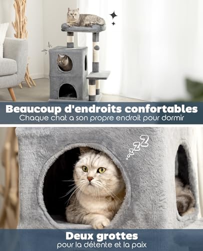 Arbre à chat compact lionto gris pour éviter les griffures sur les canapés