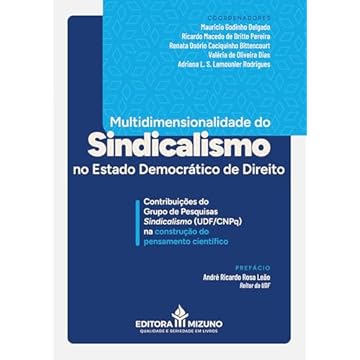 Capa do livro Multidimensionalidade do Sindicalismo no Estado Democrático de Direito