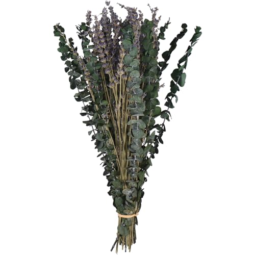 Coronas Y Guirnaldas, Home Paquete de eucalipto seco para ducha, ramo de lavanda de eucalipto colgante de 16.5 pulgadas, ramas de hojas de eucalipto 100% reales para relleno de jarrón,...